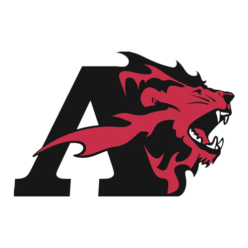 Lions-Pro