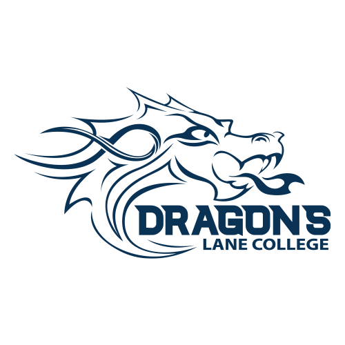 St. George Illawarra Dragons