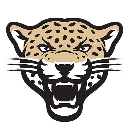 Kazan Leopards (Amateur)