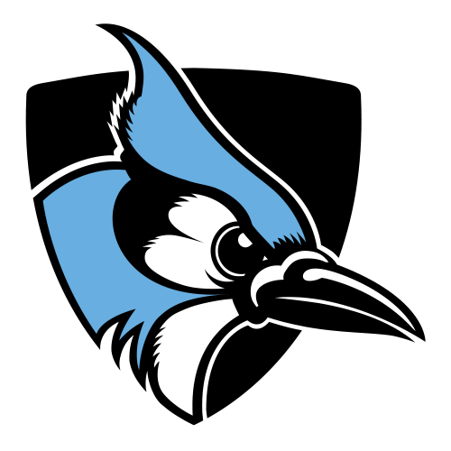 Dunedin Blue Jays