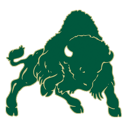 Bisons FB