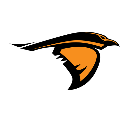 IPBL Ravens