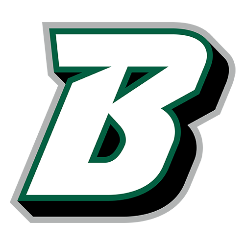 Binghamton Rumble Ponies