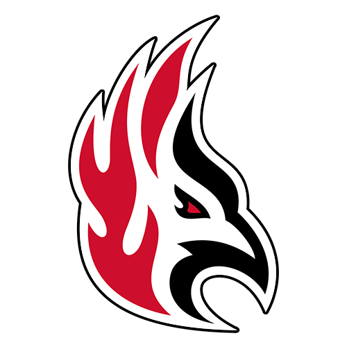 Firebirds