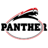 Dusseldorf Panther