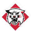 Davidson Wildcats
