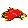 Phoenix Penza