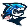Capital Sharks Moscow
