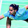 Nasim Safaei