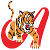 Tigres de Aragua