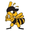 Salt Lake Bees