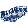 Pensacola Blue Wahoos