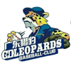 Guangdong Leopard