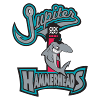 Jupiter Hammerheads