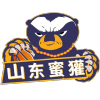 Shandong Honey Badger