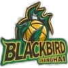 Shanghai Blackbird