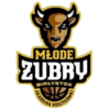 Zubry Bialystok II