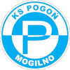 Pogon Mogilno