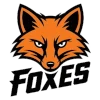IPBL Foxes (Women)
