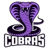 IPBL Cobras (Women)