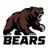 IPBL Bears