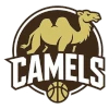 IPBL Camels