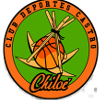 Deportes Castro II