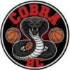 Cobra Basketaki