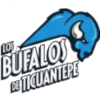 Bufalos de Ticuantepe