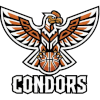 IPBL Condors