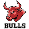 IPBL Bulls