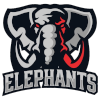 IPBL Elephants