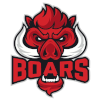 IPBL Boars