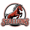 IPBL Stallions