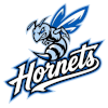 IPBL Hornets