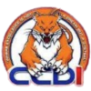 CCDI Wildcats