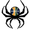 Spiders