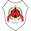 Al Rayyan U19