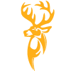 San Sebastian Golden Stags U19