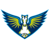 Dallas Wings (Women)
