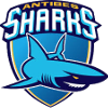 Antibes Sharks