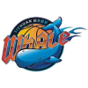 Sichuan Blue Whales U19