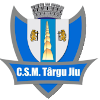 CSM Targu Jiu