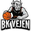 Vejen 81