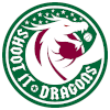 Shoot it Dragons