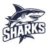 IPBL Sharks (Women)