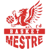 Gemini Mestre