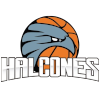 Halcones de Ciudad Obregon