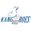 Kangoeroes Mechelen