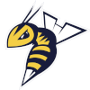 Edmonton Stingers